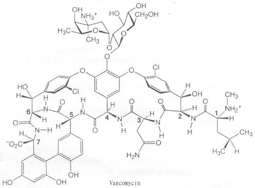 vancomycin