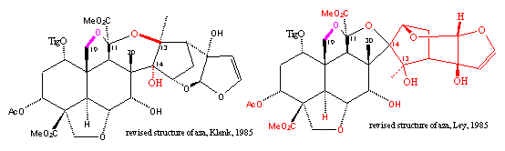 revised aza structure by
Kraus and Lay groups at 1985