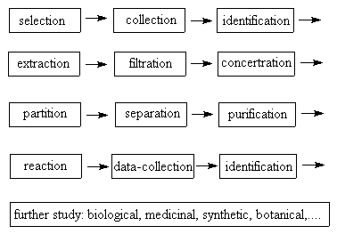 flow chart of natural product research