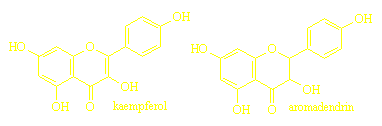 structures of kaempferol and aromadendrin