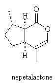 structure of nepetalactone