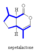 nepetalactone structure

