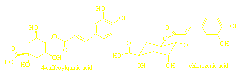 structures of 4-caffeoylquinic acid and cholorogenic acid